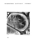 LIPOSOMAL STRUCTURES FORMING ISOMETRIC AGGLOMERATES, ESPECIALLY BATH     BEADS, THE PRODUCTION AND USE THEREOF diagram and image