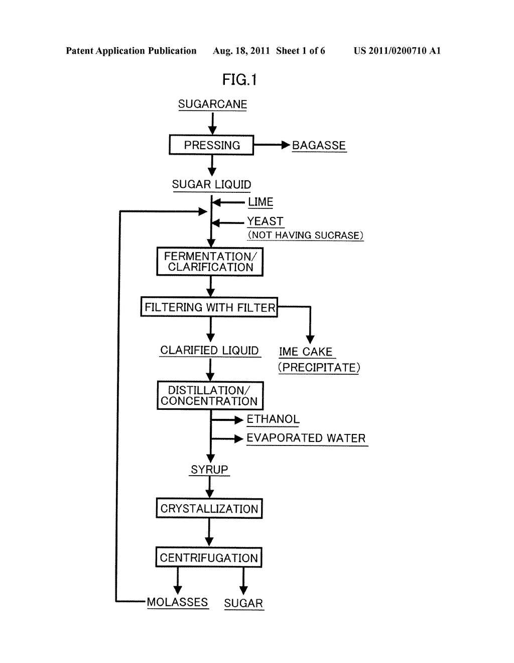 Method for Producing Sugar - diagram, schematic, and image 02