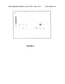 METHODS FOR ASSAYING MC1R VARIANTS AND MITOCHONDRIAL MARKERS IN SKIN     SAMPLES diagram and image