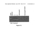 METHODS FOR ASSAYING MC1R VARIANTS AND MITOCHONDRIAL MARKERS IN SKIN     SAMPLES diagram and image