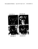 CHEMOSENSORY GENE FAMILY ENCODING GUSTATORY AND OLFACTORY RECEPTORS AND     USES THEREOF diagram and image