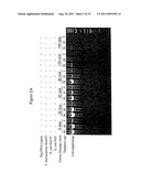 Repair of Nucleic Acids for Improved Amplification diagram and image