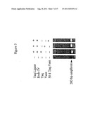 Repair of Nucleic Acids for Improved Amplification diagram and image