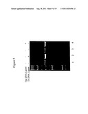 Repair of Nucleic Acids for Improved Amplification diagram and image