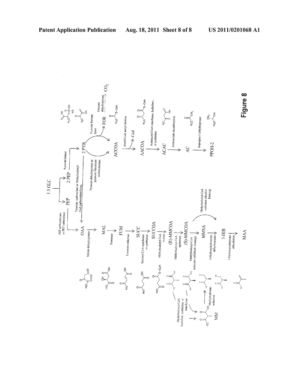 MICROORGANISMS AND METHODS FOR THE CO-PRODUCTION OF ISOPROPANOL WITH     PRIMARY ALCOHOLS, DIOLS AND ACIDS - diagram, schematic, and image 09