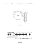 THERMOPHILIC MICRO-ORGANISMS FOR ETHANOL PRODUCTION diagram and image