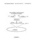 THERMOPHILIC MICRO-ORGANISMS FOR ETHANOL PRODUCTION diagram and image