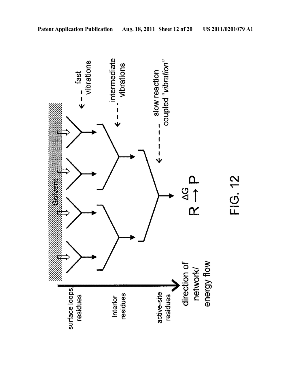 IDENTIFICATION AND MODIFICATION OF DYNAMICAL REGIONS IN PROTEINS FOR     ALTERATION OF ENZYME CATALYTIC EFFECT - diagram, schematic, and image 13