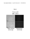 ANTIVIRAL AGENT AGAINST ANIMAL VIRUSES diagram and image