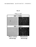 ANTIVIRAL AGENT AGAINST ANIMAL VIRUSES diagram and image