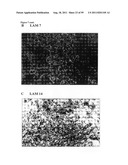 LACTATION-ASSOCIATED POLYPEPTIDES diagram and image