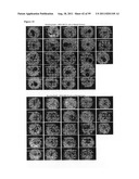 LACTATION-ASSOCIATED POLYPEPTIDES diagram and image