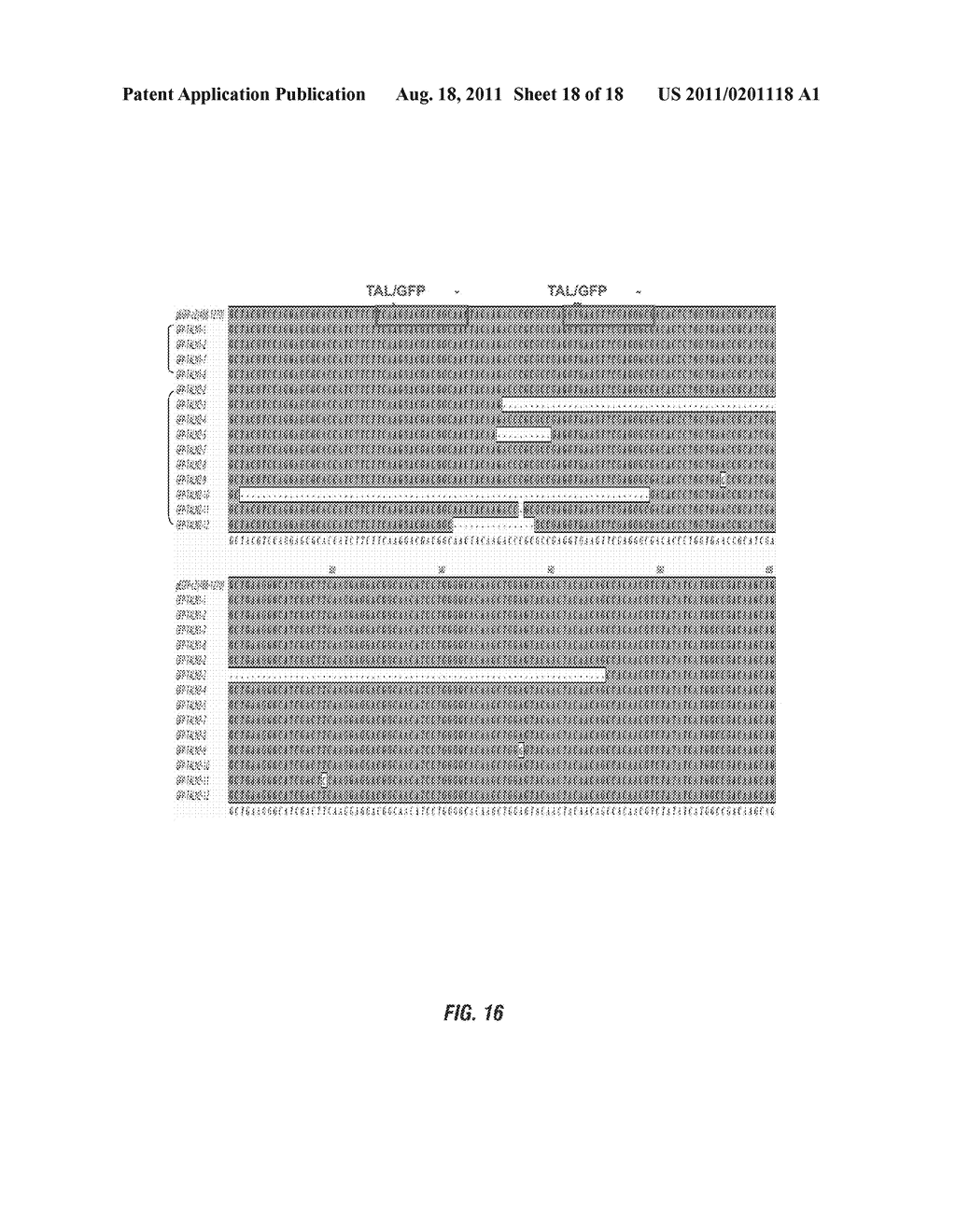 NUCLEASE ACTIVITY OF TAL EFFECTOR AND FOKI FUSION PROTEIN - diagram, schematic, and image 19