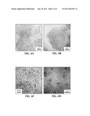 ENHANCING HYDROGEN SPILLOVER AND STORAGE diagram and image