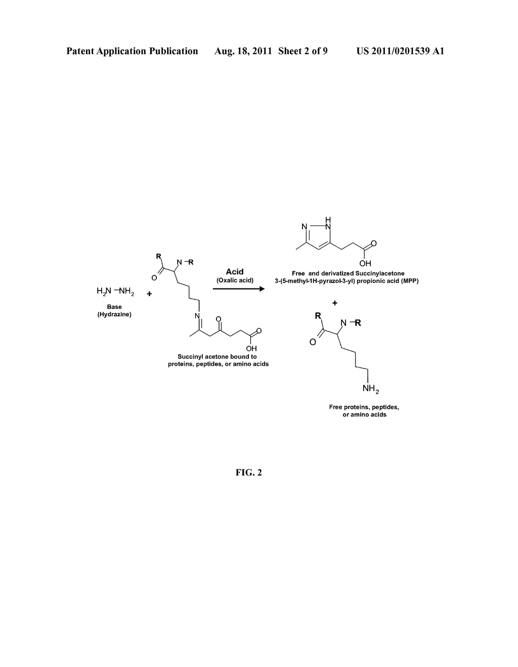 DETECTING SUCCINYLACETONE - diagram, schematic, and image 03