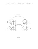 USE OF 14,15-DIHYDRO-20,21-DINOREBURNAMENIN-14-OL FOR THE TREATMENT AND/OR     PREVENTION OF SERIOUS DEPRESSION AND SLEEP/WAKING CYCLE DISORDERS diagram and image