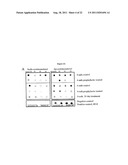 Compositions and Methods for Treatment of Disorders of Protein Aggregation diagram and image