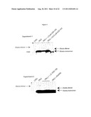 Compositions and Methods for Treatment of Disorders of Protein Aggregation diagram and image