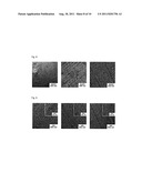 NOVEL AMPHIPHILIC BLOCK COPOLYMER, METHOD FOR MANUFACTURING THE SAME, AND     POLYMER ELECTROLYTE MEMBRANE USING THE SAME diagram and image