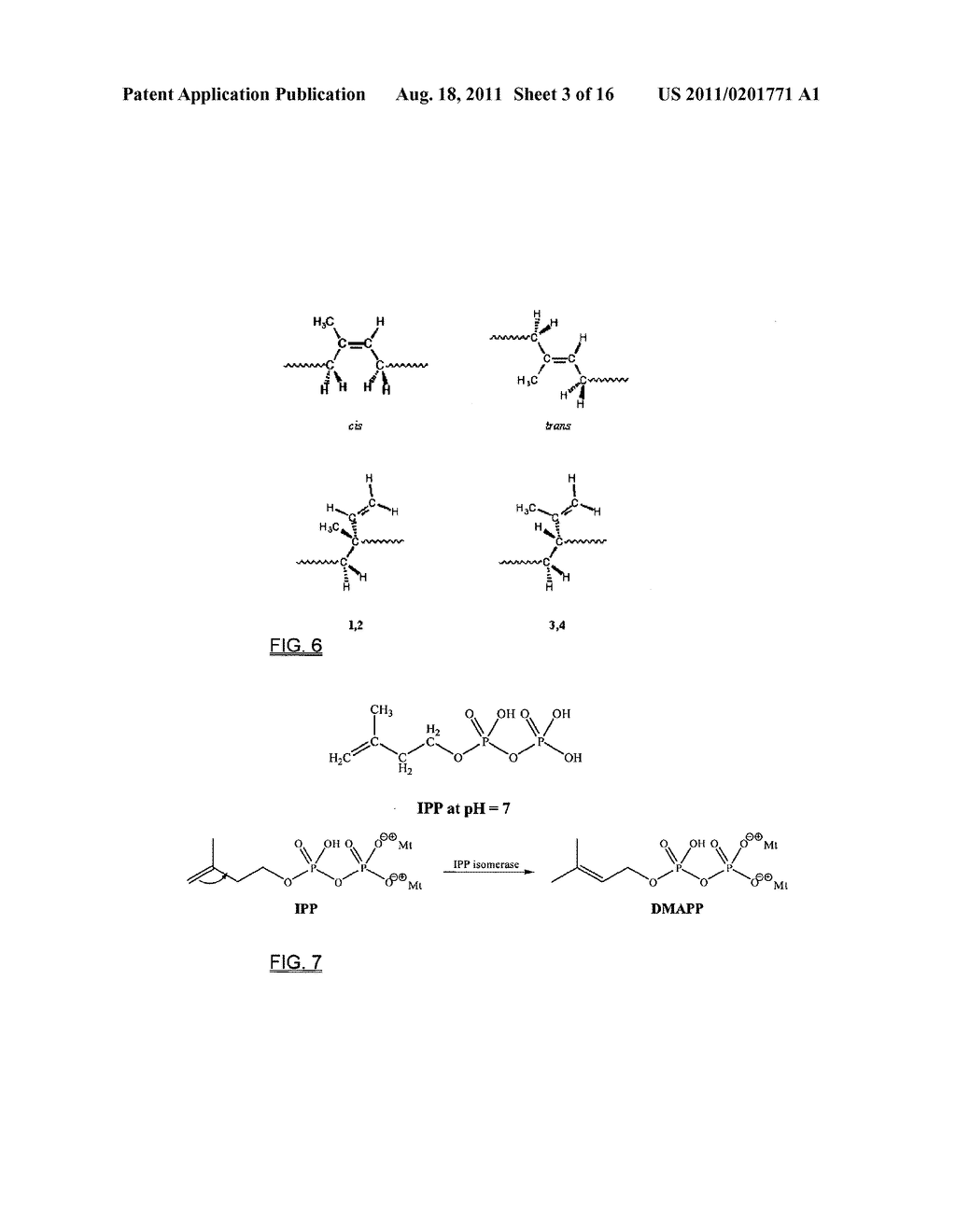 BIOSYNTHESIS OF POLYISOPRENOIDS - diagram, schematic, and image 04