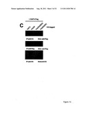 NOVEL DEATH DOMAIN PROTEINS diagram and image