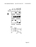 NOVEL DEATH DOMAIN PROTEINS diagram and image