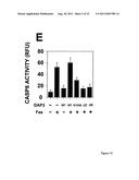 NOVEL DEATH DOMAIN PROTEINS diagram and image