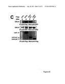 NOVEL DEATH DOMAIN PROTEINS diagram and image