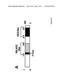 NOVEL DEATH DOMAIN PROTEINS diagram and image