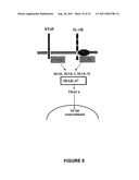 NOVEL DEATH DOMAIN PROTEINS diagram and image