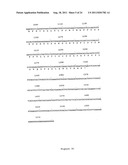 NOVEL HUMAN GENES RELATING TO RESPIRATORY DISEASES AND OBESITY diagram and image