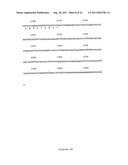 NOVEL HUMAN GENES RELATING TO RESPIRATORY DISEASES AND OBESITY diagram and image