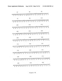 NOVEL HUMAN GENES RELATING TO RESPIRATORY DISEASES AND OBESITY diagram and image