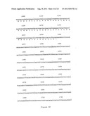 NOVEL HUMAN GENES RELATING TO RESPIRATORY DISEASES AND OBESITY diagram and image