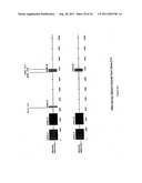 NOVEL HUMAN GENES RELATING TO RESPIRATORY DISEASES AND OBESITY diagram and image