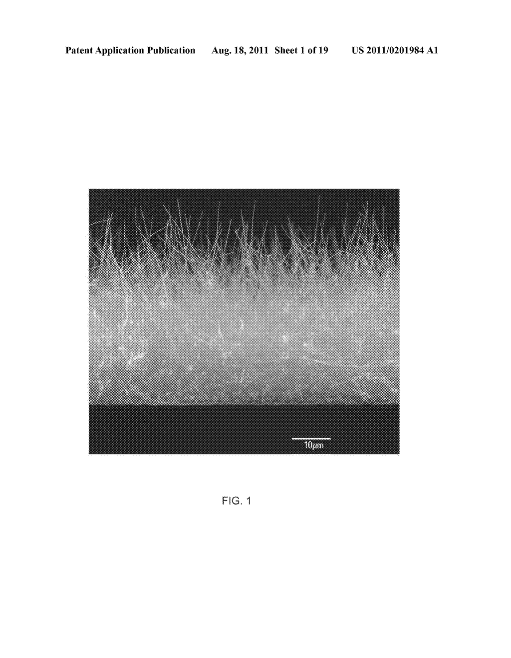 Medical Device Applications of Nanostructured Surfaces - diagram, schematic, and image 02