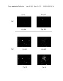 Medical Device Applications of Nanostructured Surfaces diagram and image