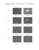 Medical Device Applications of Nanostructured Surfaces diagram and image