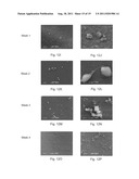 Medical Device Applications of Nanostructured Surfaces diagram and image