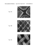 Medical Device Applications of Nanostructured Surfaces diagram and image