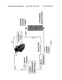 METHOD FOR ENHANCING IMMUNE RESPONSES IN MAMMALS diagram and image