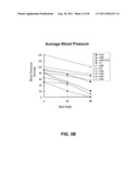 BLOOD PRESSURE STABILIZATION SYSTEM USING TRANSDERMAL STIMULATION diagram and image