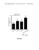 BLOOD PRESSURE STABILIZATION SYSTEM USING TRANSDERMAL STIMULATION diagram and image