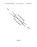 Shoe Spring and Shock Absorbing System diagram and image