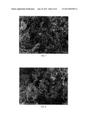 ELECTROCHEMICAL METHODS FOR MAKING SILICON NANOPOWDER, SILICON NANOWIRES     AND SILICON NANOTUBES diagram and image