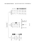 SYSTEM AND METHOD OF INTEGRATED NATIONAL CITIZEN IDENTITY MANAGEMENT AND     E-GOVERNANCE diagram and image