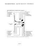 SYSTEM AND METHOD OF INTEGRATED NATIONAL CITIZEN IDENTITY MANAGEMENT AND     E-GOVERNANCE diagram and image