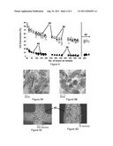 GOLD CATALYSTS FOR CO OXIDATION AND WATER GAS SHIFT REACTIONS diagram and image