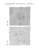 THIN FILM TRANSISTOR AND MANUFACTURING METHOD THEREOF diagram and image