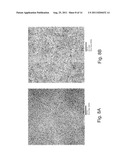 Methods and Devices for Forming Nanostructure Monolayers and Devices     Including Such Monolayers diagram and image